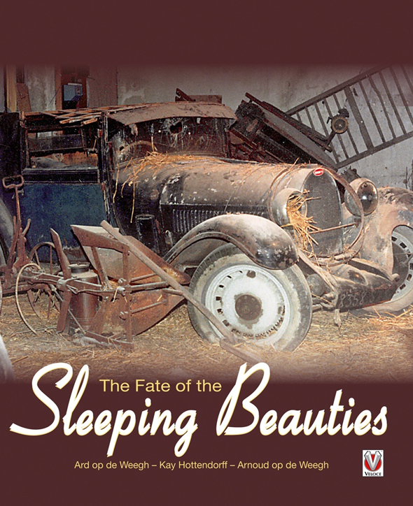 sleeping-beauties-libro