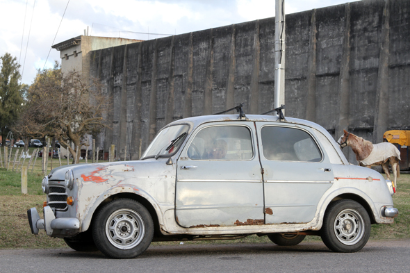 Fiat 1100 perfil copy