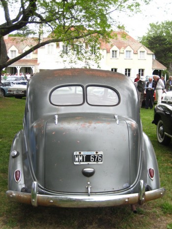 de soto de cola