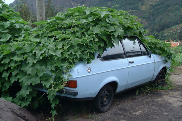 Escort en túnel de viento ecológico