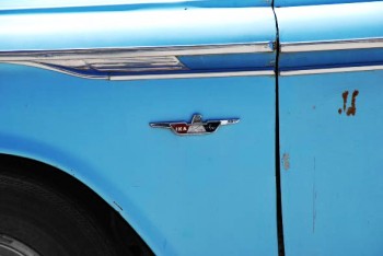 escudito escudito...