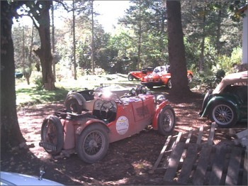 Juguemos en el bosque