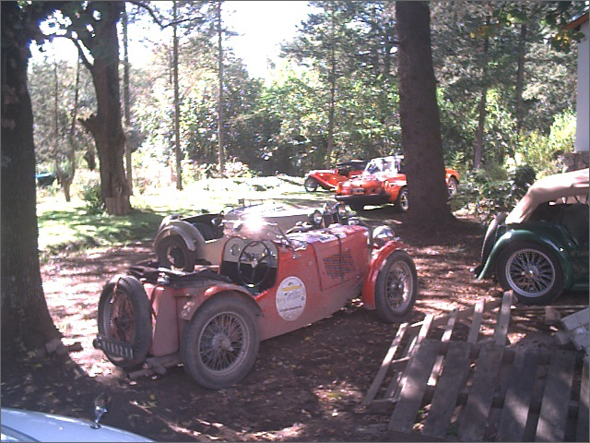 Juguemos en el bosque