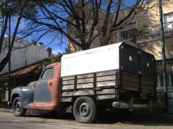 Gauchita la Plymouth