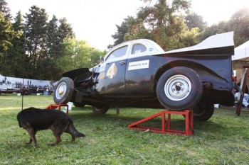 Navone en Perroclásica