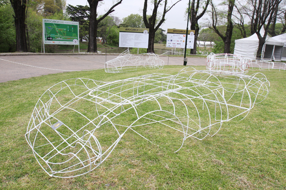 El jardín de los sport invisibles