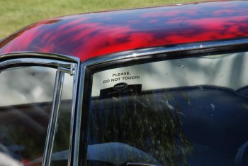 qué buenas están las amigas de Berlusconi