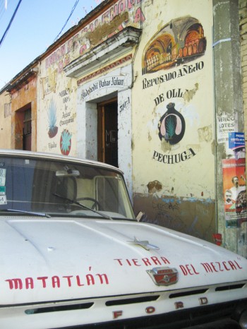 Matatlán, la tierra prometida