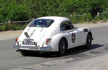 proto-E_Type_quizás