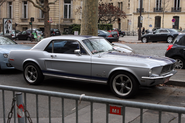 Mustang perfil