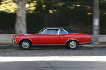 Foto del enano Tillous para Auto Test. Gracias !!!!!!!