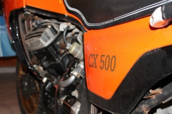 grano con pus y sangre...