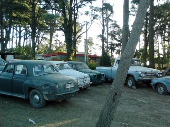 Rover, Ford y Opel
