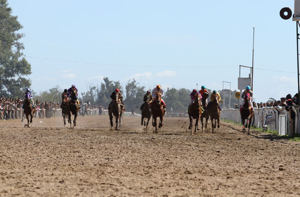 Caballos llegada