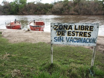 Zona libre de estrés