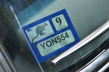 hoy comí salame de canguro