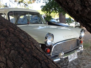 Ford Consul detalle trompa
