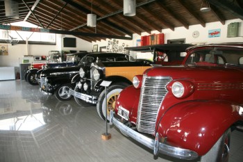 IMG_8382 copy