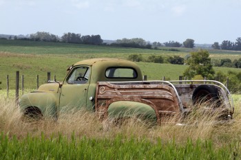 IMG_8440